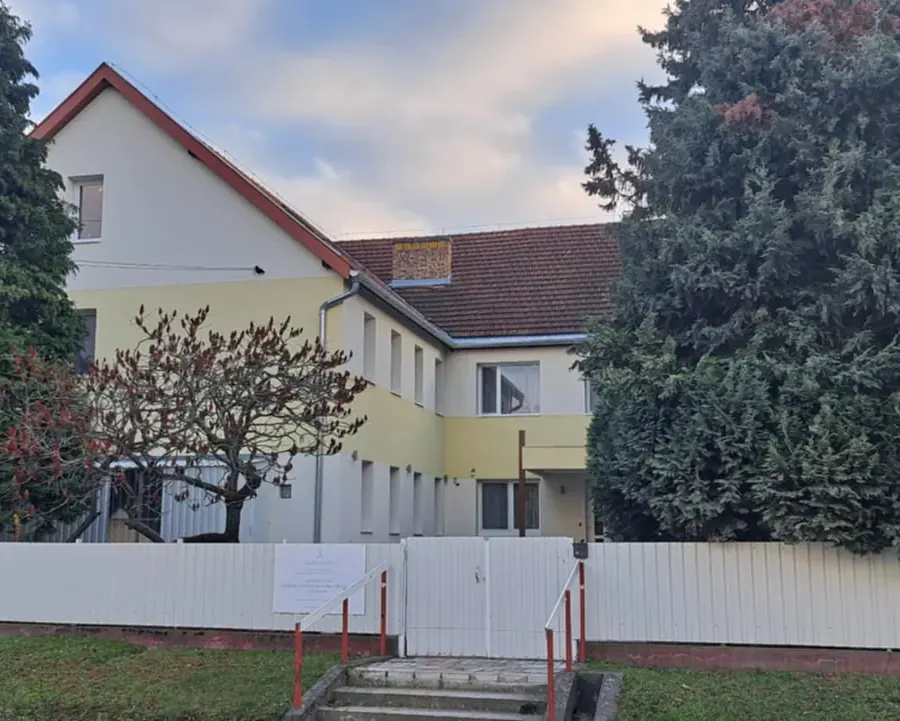 Napfényes padok egy őszi, fenyőkkel szegélyezett kertben